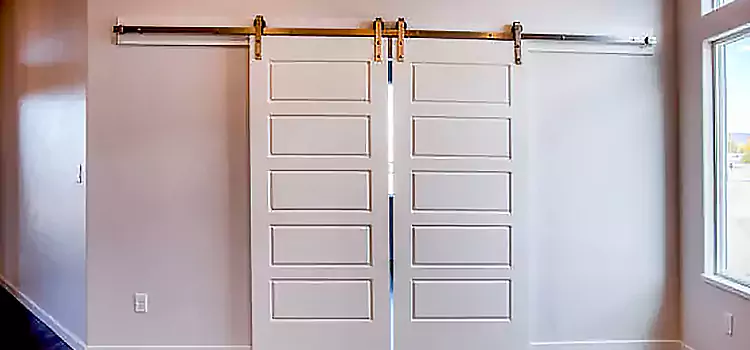 Glass Barn Door with Installation Hardware Kit Fontana